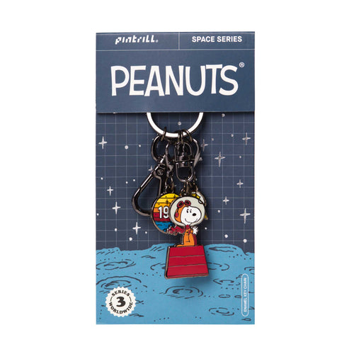 Peanuts Snoopy Metal Keyring - Snoopy Charlie Brown Woodstock Doll Charm -  Shop norns Keychains - Pinkoi